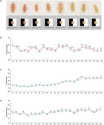 Starvation Stress Causes Body Color Change and Pigment Degradation in Acyrthosiphon pisum